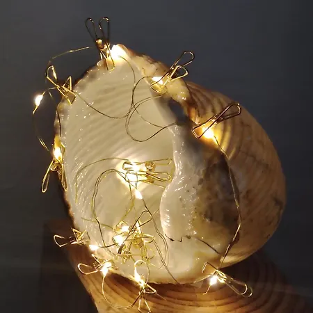 Stan Na Dan アパート